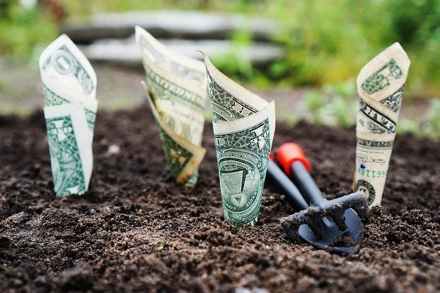 How to Start Investing: A Guide for Beginners