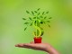 Basics Of Secondary Market Annuity (SMA) secondary-market-annuity