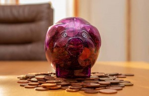 Multi-Year Guaranteed Annuity (MYGA) multi-year guaranteed annuity