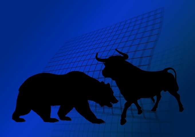 Basic Overview About Bull Market and Bear Market