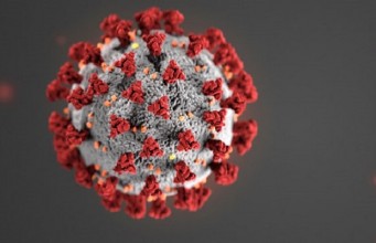 What You Need to Know if You Lost Your Job due to CoronaVirus If You Lost Your Job Due To Corona-Virus