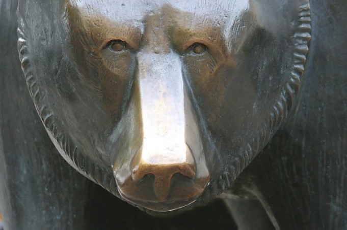 Most Powerful Strategies for Sustaining a Bear Market