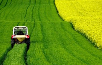 All You Need to Know About the Future of Food All You Need to Know About The Future Of Food