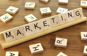 How to Grow Organic Traffic in Little Time How to Grow Organic Traffic in little time?