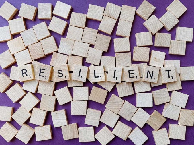 Know About How Successful People Master Resilience