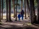 How to Teach your Kid to get Financial Success How to Teach your Kid to get Financially Success