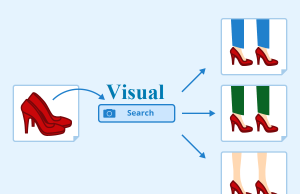 Why Visual Search Matters and How it Works Why Visual Search Matters and How it Works