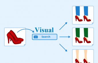 Why Visual Search Matters and How it Works Why Visual Search Matters and How it Works