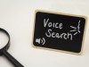 Voice Search Technology: Why Your Business Needs It to Grow Voice Search Technology: Why Your Business Need One to Grow