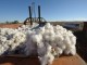 Know About the Cotton Harvest Market Analysis Know about the Cotton Harvest Market Analysis