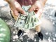Advantages and Disadvantages of Dividend Investing Advantages and Disadvantages of Dividend Investing