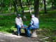 Powerful Retirement Tips That You Must Not Miss One Powerful Retirement Tip That You Must Not Miss