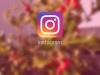 Best Hacks for Optimizing Instagram for Your SEO Best Hacks for Optimizing Instagram for your SEO