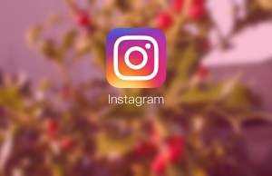 Best Hacks for Optimizing Instagram for Your SEO Best Hacks for Optimizing Instagram for your SEO